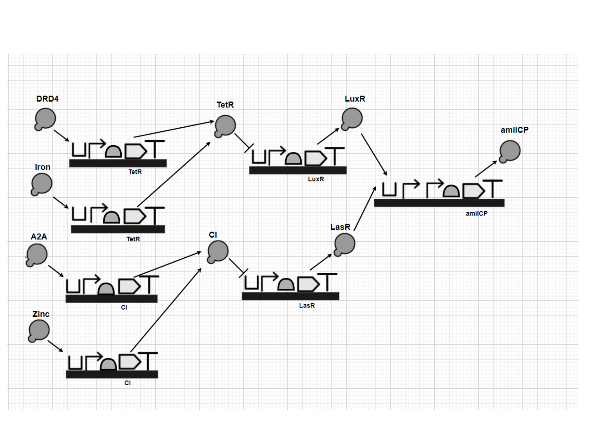 Genetic_Logical_Circuit